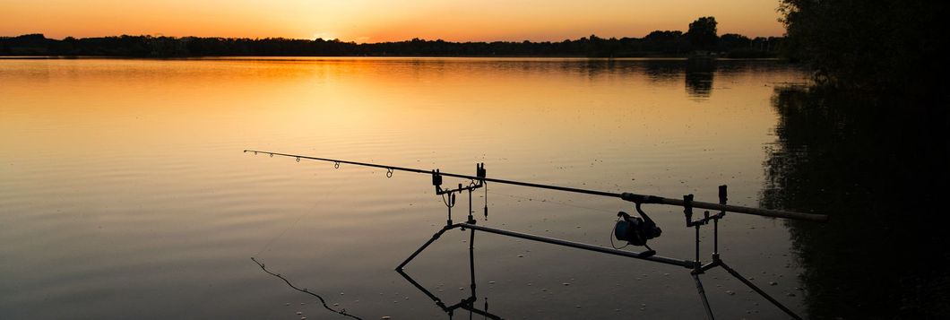 Carpe de nuit - Fédération de pêche de Saône-et-Loire